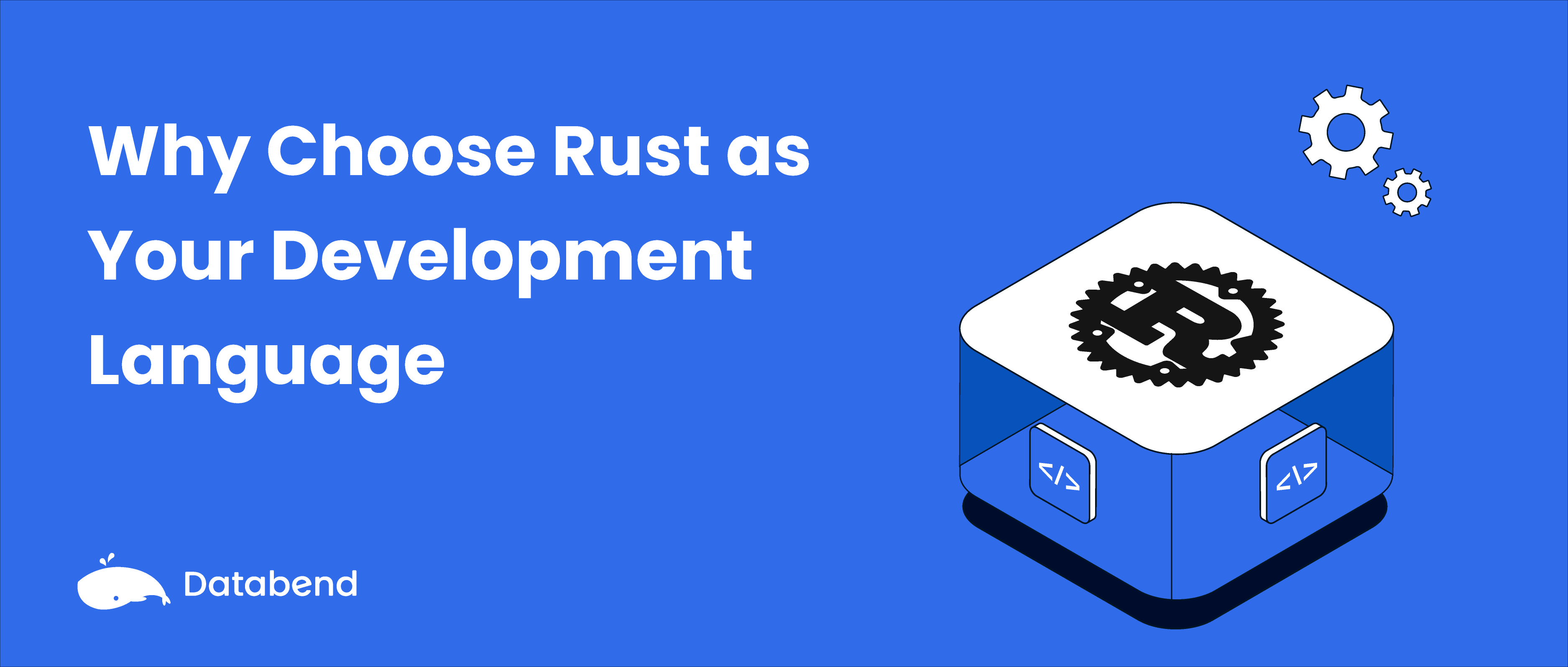 Why Choose Rust as Your Development Language